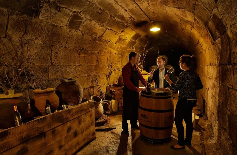 Enoturismo en Ruta del Vino Rioja Alta.