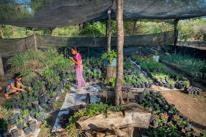 Niños juegan en el vivero de la casa de Agustina Lorenzo.