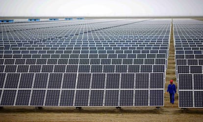 Un trabajador inspecciona paneles solares.