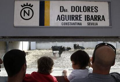 Apertura de los Corrales del Gas, en Pamplona.