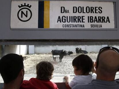 Apertura de los Corrales del Gas, en Pamplona.