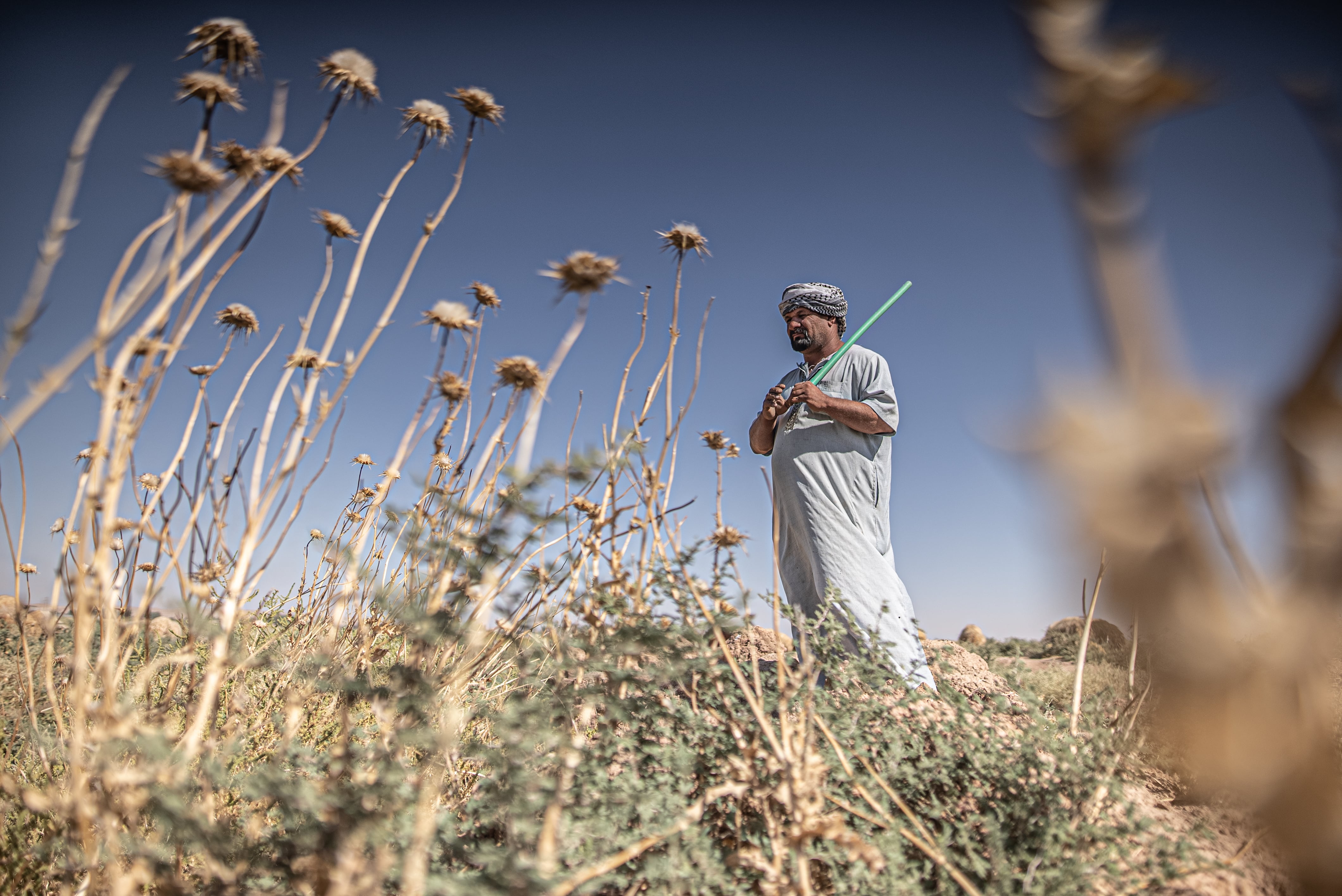 Mohammed Mayahi (39) es un ganadero de la provincia iraquí de Diyala. La crisis hídrica ha agotado el suministro de agua potable de su familia y ha matado el veinte por ciento de su rebaño de ovejas, su principal fuente de ingresos. Pincha en la imagen para ver la fotogalería completa-.
