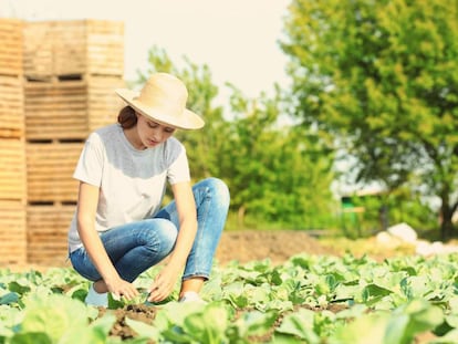 Realizar trabajos de jardinería durante la baja es posible si no perjudican la curación