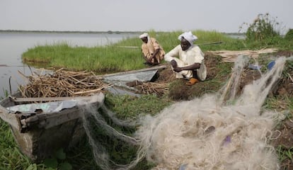 Pescadores chadianos recogen sus redes en la isla Midikouta Island, en el lago Chad, el pasado 22 de julio. Los habitantes de las islas del lago est&aacute;n volviendo a casa a pesar de la amenaza de Boko Haram en la zona.