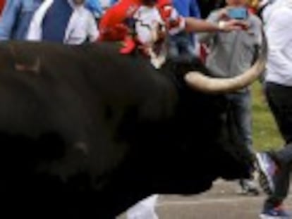 Death of ‘Rompesuelas’ in controversial annual hunt in Tordesillas, Valladolid, declared void after participants break regulations