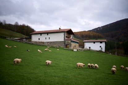 Vista de los caseros de la zona de Gorriztaran, junto a Leiza. 