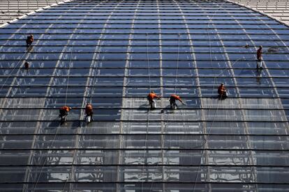 Un grupo de trabajadores desciende mediante cuerdas mientras limpian la cúpula de titanio del Centro Nacional de Artes Escénicas, en Pekín (China).