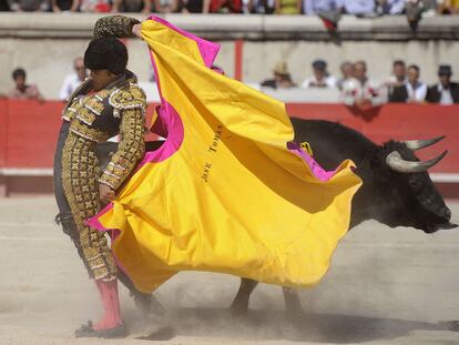 El cuarto toro, de la ganadería Parladé y nombre 'Ingrato', ha sido indultado ante el apoteosis de la plaza con la faena de Tomás.