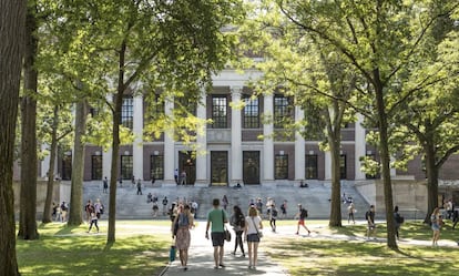 Estudiantes y turistas pasean por el campus de la Universidad de Harvard.