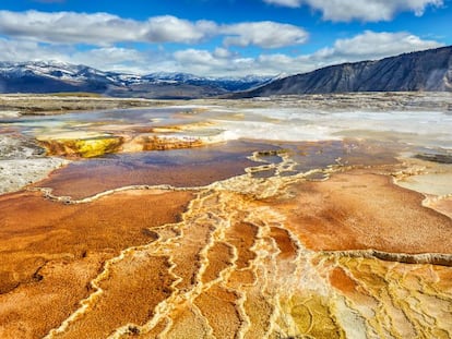 Patrones de formaciones de cianobacterias y travertino, en una zona del Parque de Yellowstone, (EE UU).