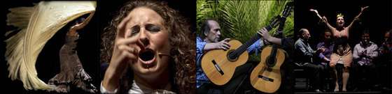 Actuación flamenca durante la pasada bienal de Sevilla.