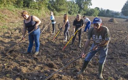 Beneficiarios del programa en los terrenos que les han cedido para cultivar.