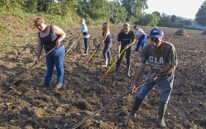 Beneficiarios del programa en los terrenos que les han cedido para cultivar. 