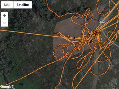 Imagen de satélite publicada por VCF y SEO en la que se representa el vuelo entre los aerogeneradores marcado por el transmisor de 'Carrascalinho'.
