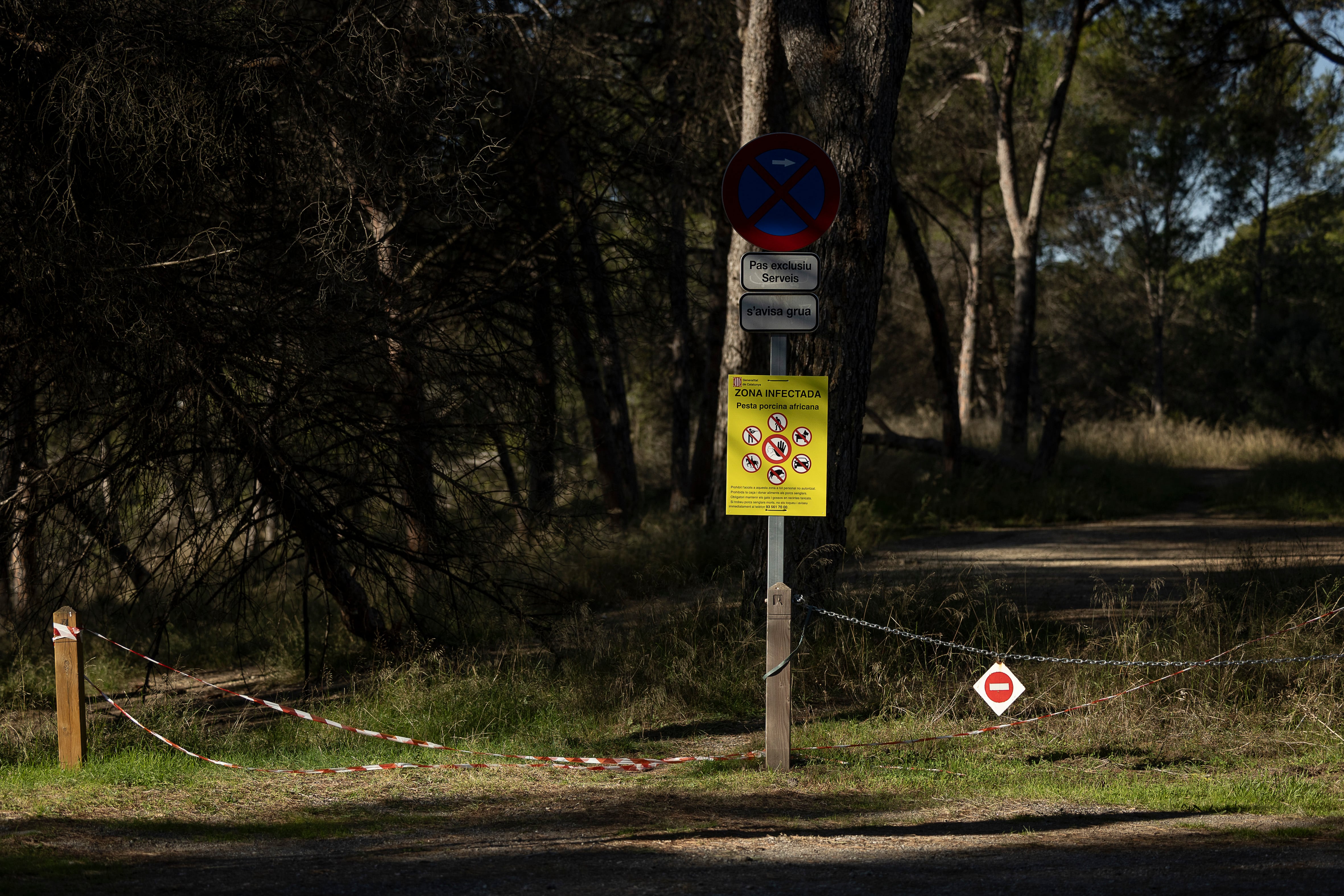 Aspecto de uno de los accesos a un parque de Bellaterra, alertando de la presencia de la peste porcina hallada en jabalíes autóctonos de la zona, este lunes.