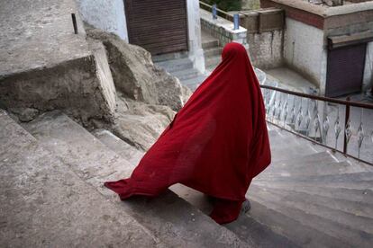 Un joven monje budista en los alrededores del monasterio Thiksey, en la región de Ladkh, India. 7 de mayo de 2014.