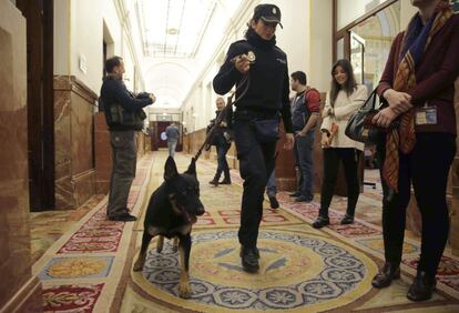 Una agente de la Policía Nacional inspecciona con un perro los pasillos del Congreso de los Diputados.