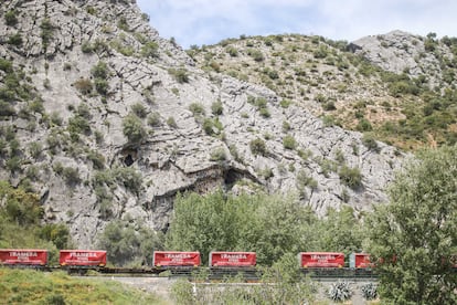 El tren que discurre junto al río Guadiaro. 