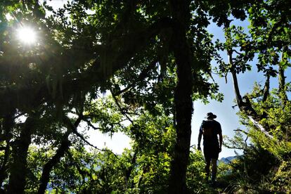 Parque Natural Fuentes del Narcea.