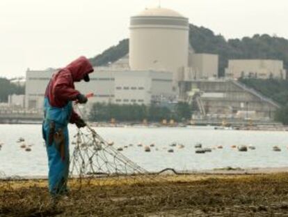 Un pescador, frente a la nuclear de Mihama, en Japón.