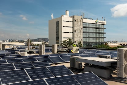 Placas fotovoltaicas sobre las instalaciones de Mercabarna.