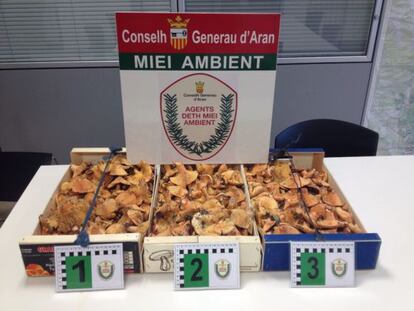 Las setas confiscadas por el Conselh Generau d’Aran.