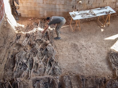 Restos óseos pertenecientes a la columna minera de Nerva encontrados en la fosa común 'Pico Reja', en el cementerio de San Fernando, Sevilla.