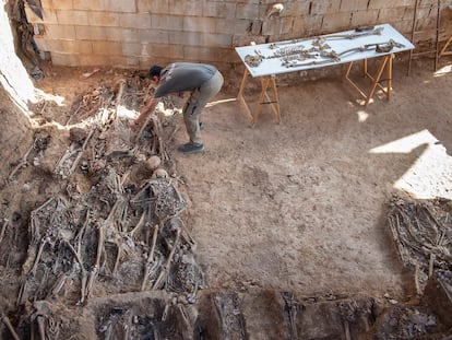 Restos óseos pertenecientes a la columna minera de Nerva encontrados en la fosa común 'Pico Reja', en el cementerio de San Fernando, Sevilla.