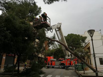 Bomberos retiran un árbol caído en Godella.