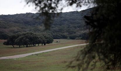 Finca de Majarambú en Castellar de la Frontera, Cádiz.