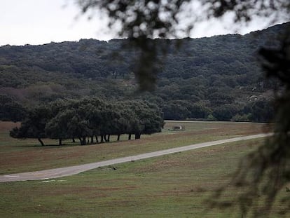 Finca de Majaramb&uacute; en Castellar de la Frontera, C&aacute;diz.