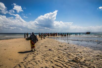 Desplazados que huyen de la violencia en la provincia de Cabo Delgado, al norte de Mozambique.