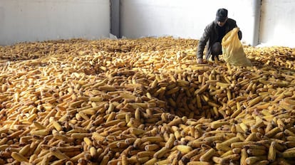 Almacenaje de maíz en Georgia.