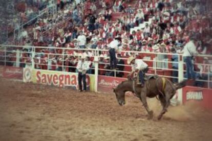 Rodeo de caballos salvajes en Barretos.