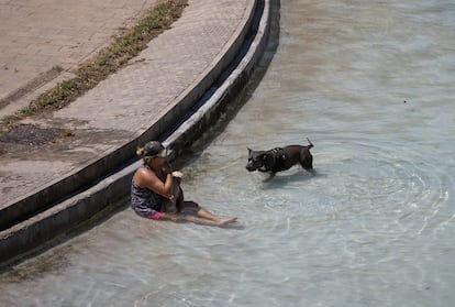 Una mujer con su perro, en el estanque artificial del parque de la Espanya Industrial, uno de los refugios climáticos de Barcelona, el 3 de agosto.