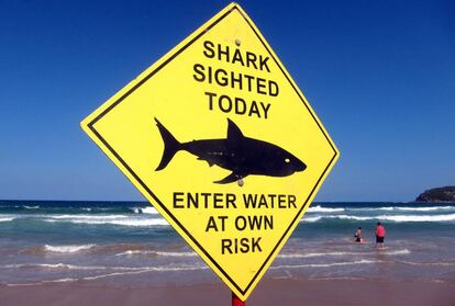 Un cartel advierte de la presencia de tiburones en la playa de Manly, en Sídney. 