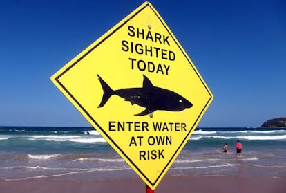 Un cartel advierte de la presencia de tiburones en la playa de Manly, en Sídney. 