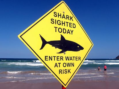 Un cartel advierte de la presencia de tiburones en la playa de Manly, en Sídney. 