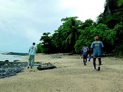 Miembros de la comunidad ecológica de la isla Vorovoro.