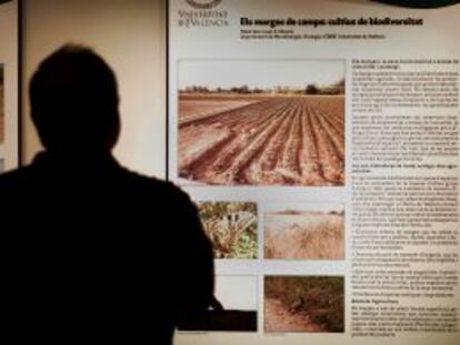 Un detalle de la exposición 'La Universitat de València y sus entornos: l'Horta de València'.