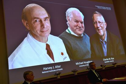 La Asamblea Nobel del Instituto Karolinska de Estocolmo ha distinguido con el Premio Nobel de Medicina 2020 a Harvey J. Alter, Michael Houghton y Charles M. Rice, por el descubrimiento del virus de la hepatitis C.