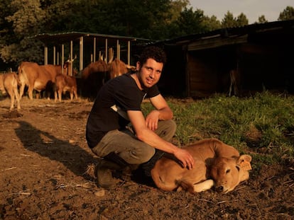 Miguel &Aacute;ngel Rat&oacute;n, en su explotaci&oacute;n de Os Garabatos (Amoeiro) con las vacas y becerros de raza Cachena que cr&iacute;a.