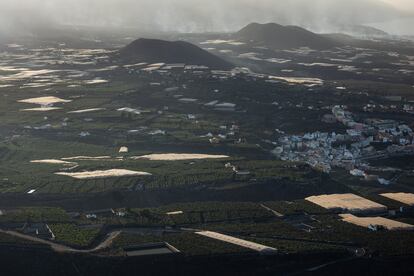 Campos de Plataneras junto a Tazacorte a primera hora de la mañana del 14 de noviembre.