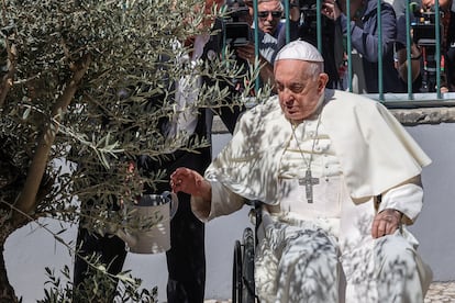 El Papa riega un olivo durante su visita a Cascais, el jueves durante la Jornada Mundial de la Juventud de Lisboa.
