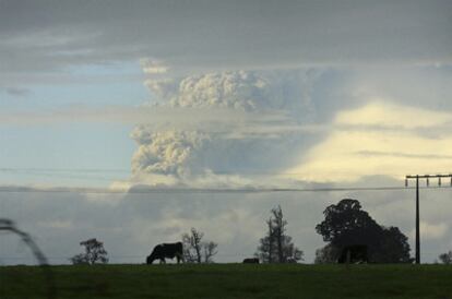 Columna de humo que sale del volcán Puyehue.