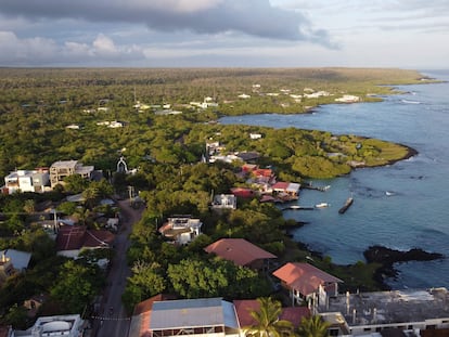 Vista aérea de la isla de Santa Cruz, en las Galápagos.