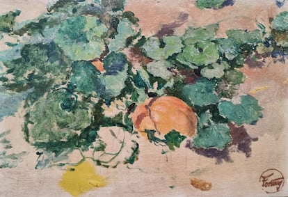 Mariano Fortuny plantas