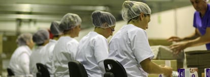 Línea de montaje de la fábrica de Cosmewax en Jerez de la Frontera, en la provincia de Cádiz. 