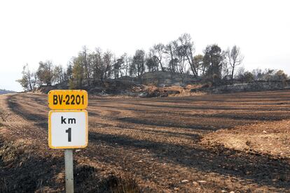Terrenos del incendios municipio de Bellprat