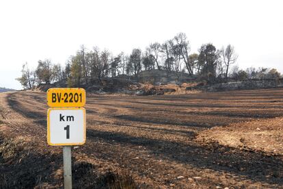 Terrenos del incendios municipio de Bellprat